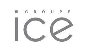 WAT - logo ICEGroupe-gris